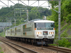185系　踊り子号