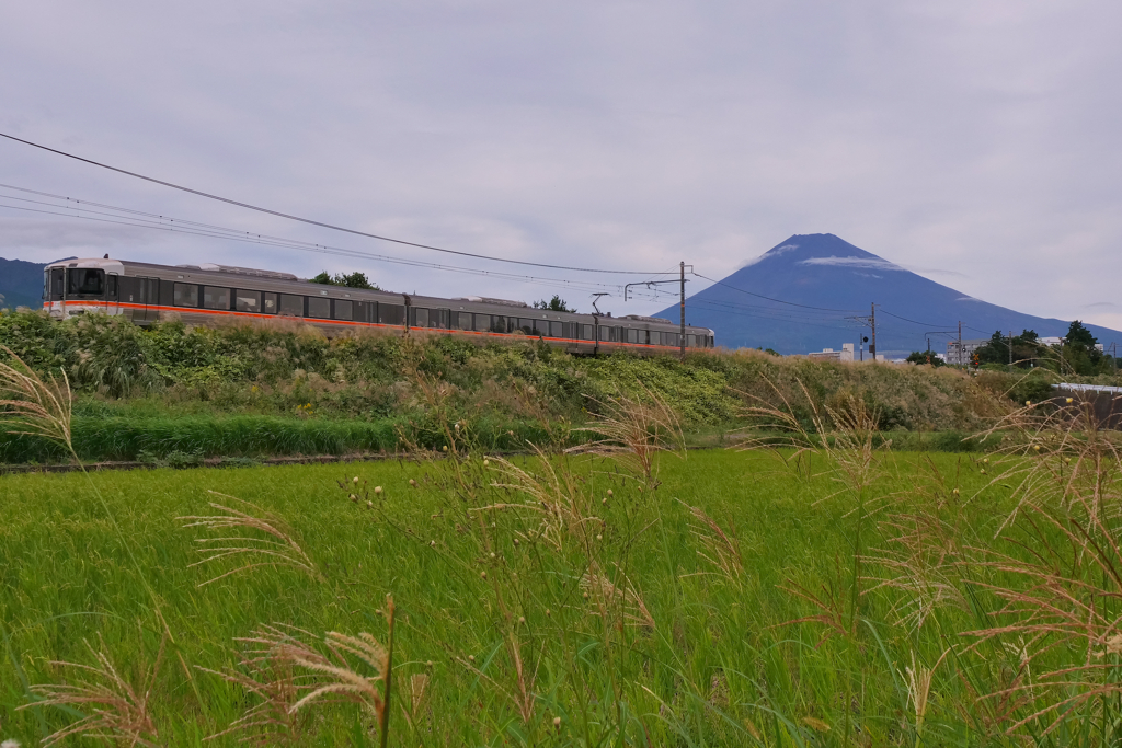 御殿場線を走る373系