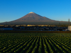 11.13の富士山