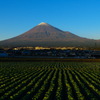 11.13の富士山