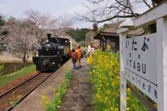 春のトロッコ列車