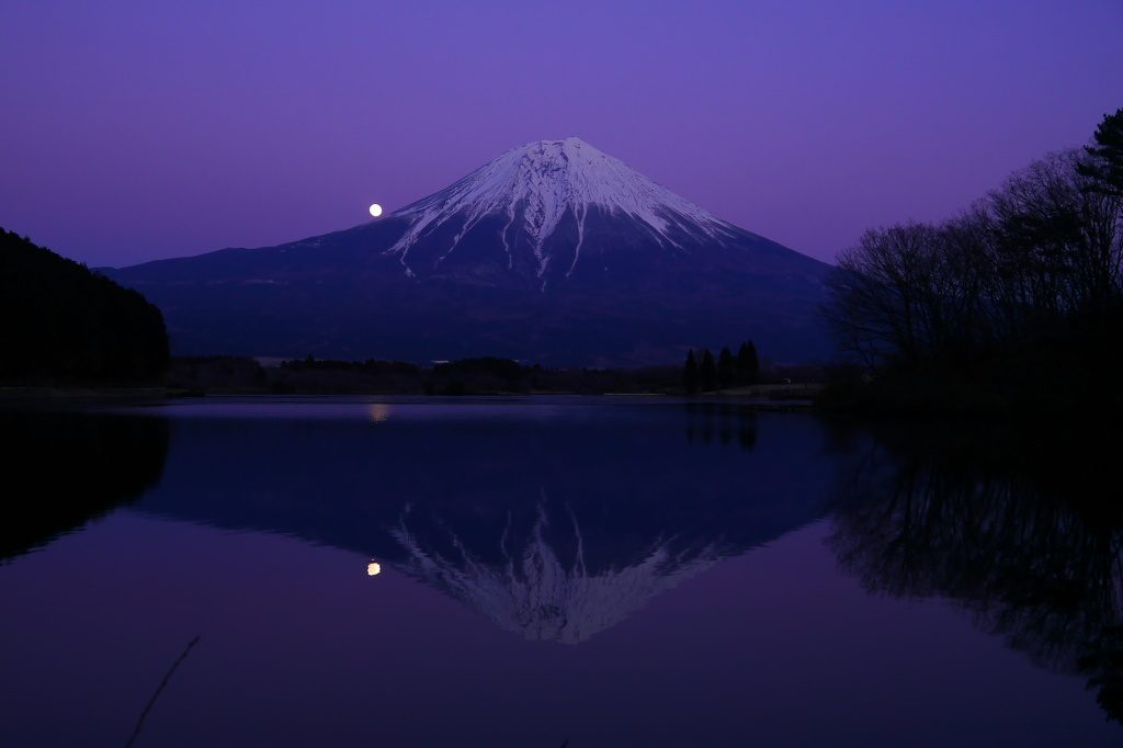 ダブルパール富士