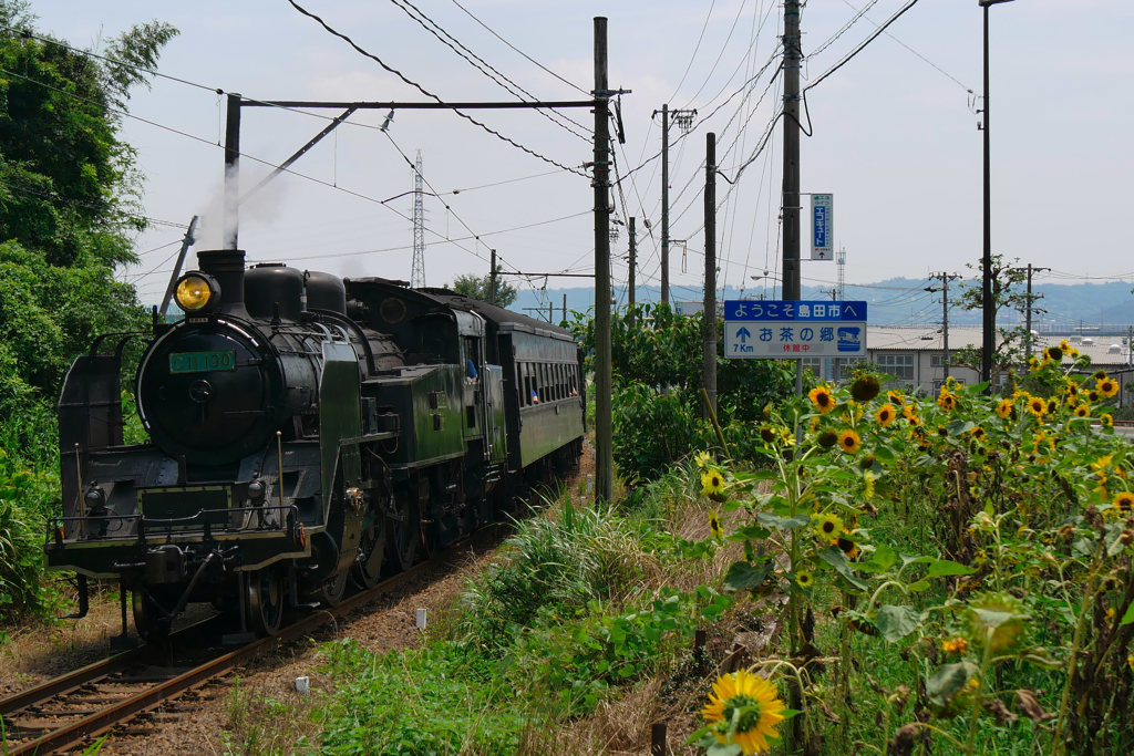 大井川鉄道C11-190