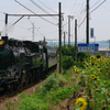 大井川鉄道C11-190