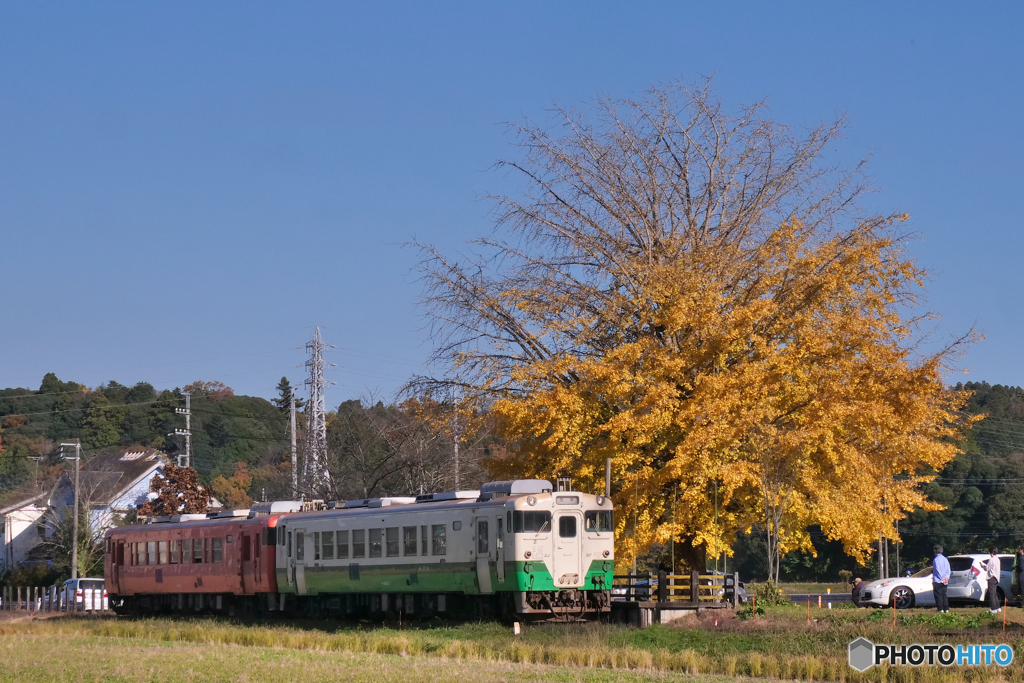 秋のキハ４０