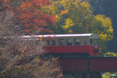 秋の小湊鐡道