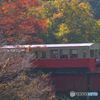 秋の小湊鐡道