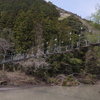 P1037336