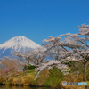 田貫湖で富士山