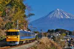 ドクター東海