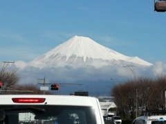 IMG_20210125_100148