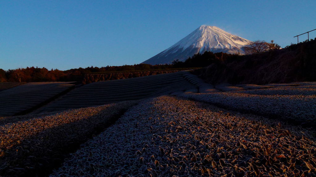 早朝富士山
