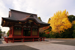 秋の鶴岡八幡宮