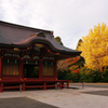 秋の鶴岡八幡宮