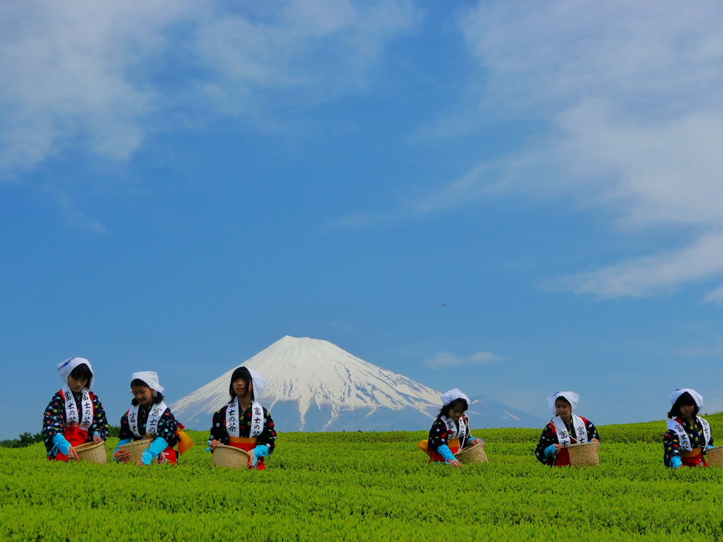 茶娘と富士山