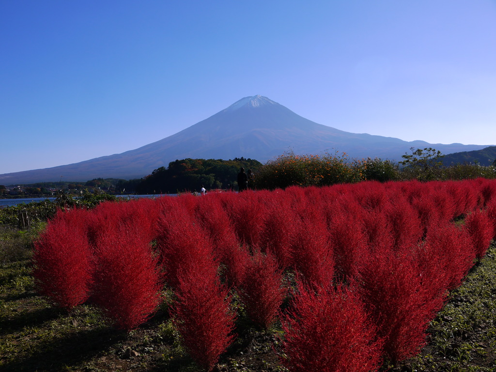大石公園で富士山