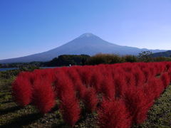 大石公園で富士山