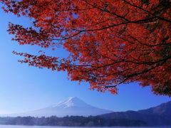 紅葉と富士山＠河口湖