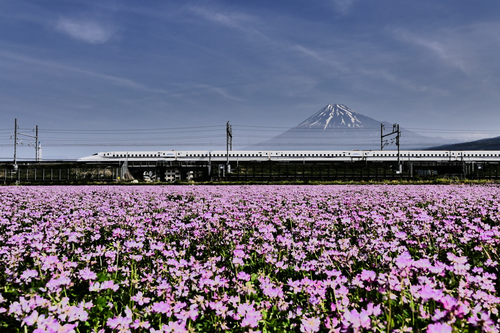 インプレッシブアート的富士山