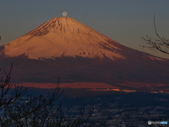新春のパール富士