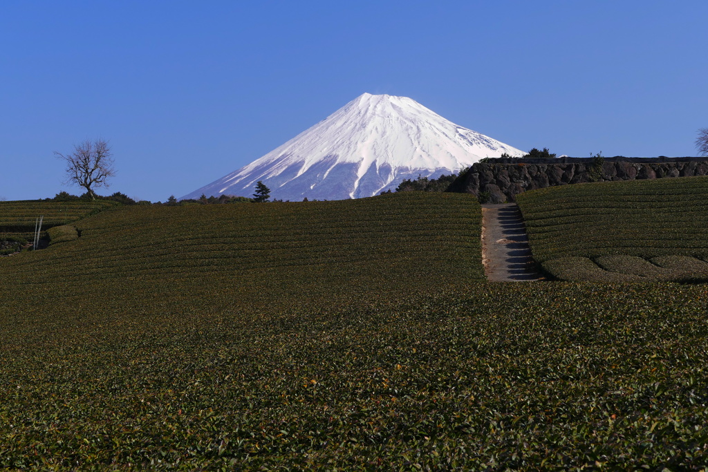 今宮の富士山