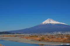 ドクターイエロー