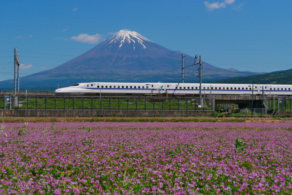 レンゲとN700系