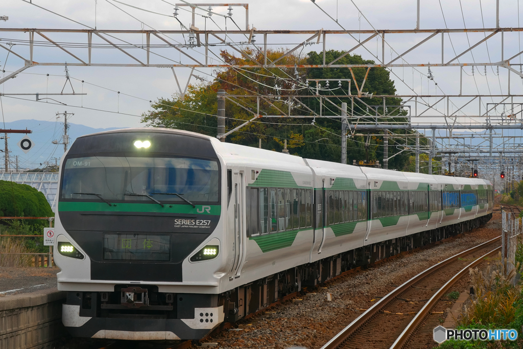 E257系で行く　品川⇔静岡　日帰りの旅