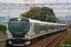 E257系で行く　品川⇔静岡　日帰りの旅