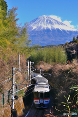 特急ふじかわ