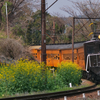 大井川鉄道EL急行