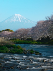 富士と桜