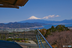 日本平夢テラス