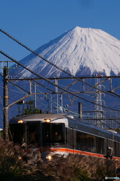 373系  臨時快速 「菊川 de 逢える」号