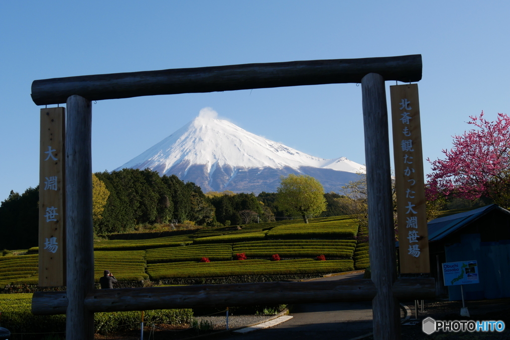 大渕　笹場