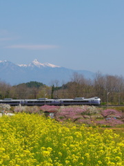 菜の花畑、桃畑を行くスーパーあずさ