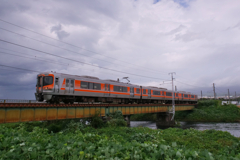 身延線を行く313系