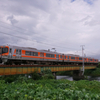 身延線を行く313系
