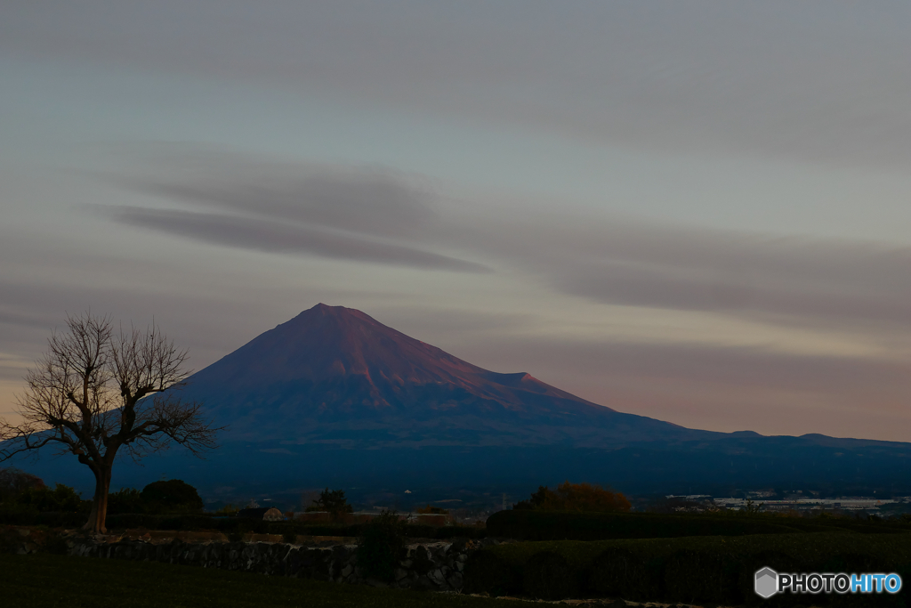 雪のない冬の富士山