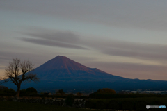 雪のない冬の富士山