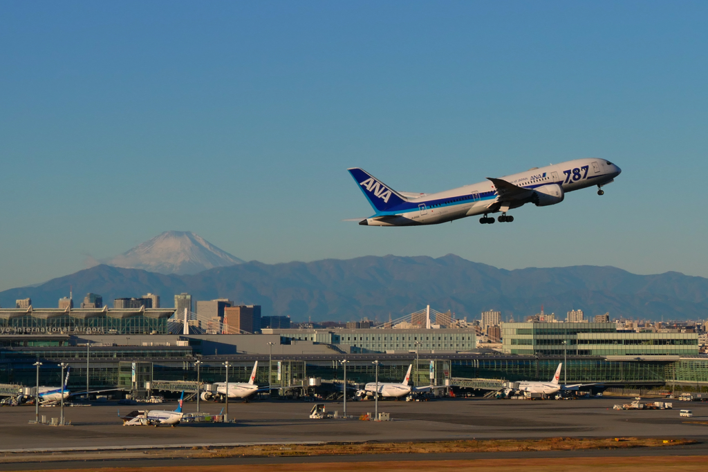 B787 　ハミングバード　富士山