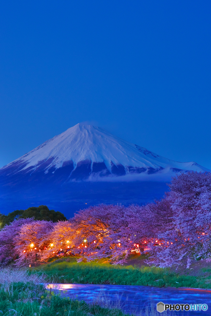 過去画像　龍巌淵の夜桜