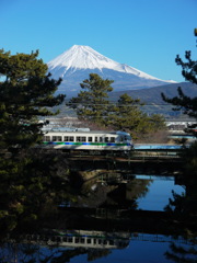 117系富士山トレイン