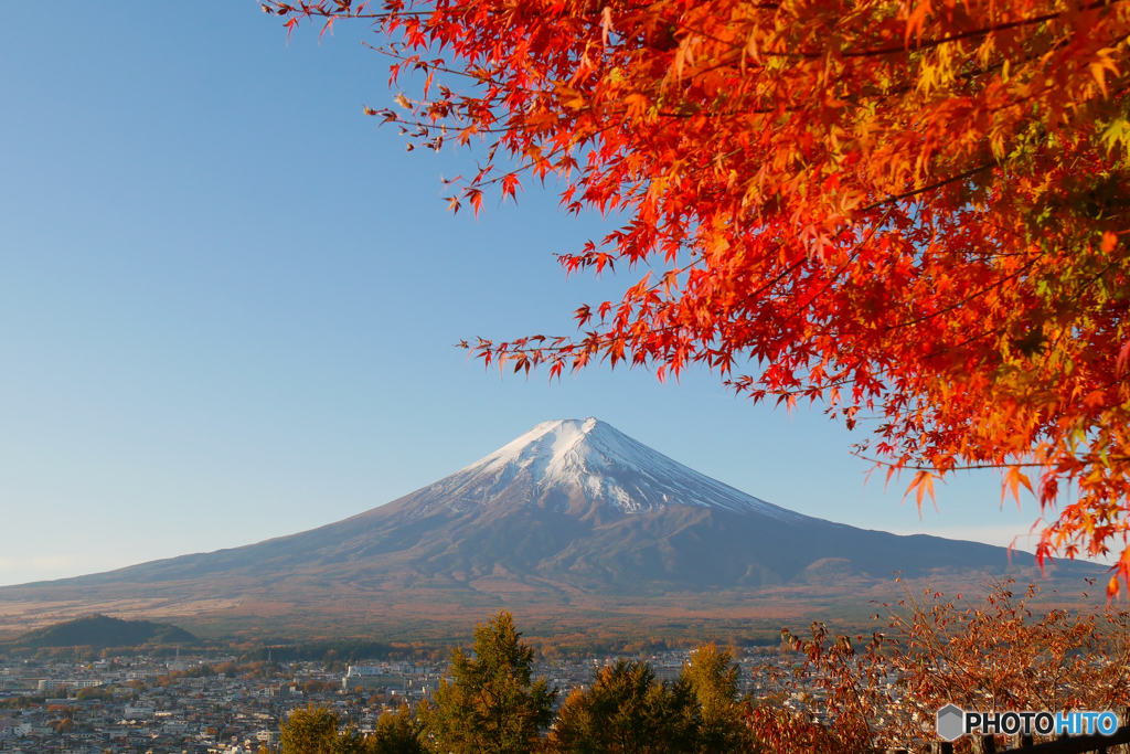 紅葉　富士山