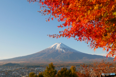 紅葉　富士山