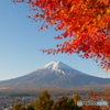 紅葉　富士山