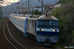 P1050840-1