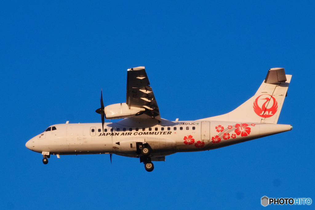 大阪遠征　伊丹空港