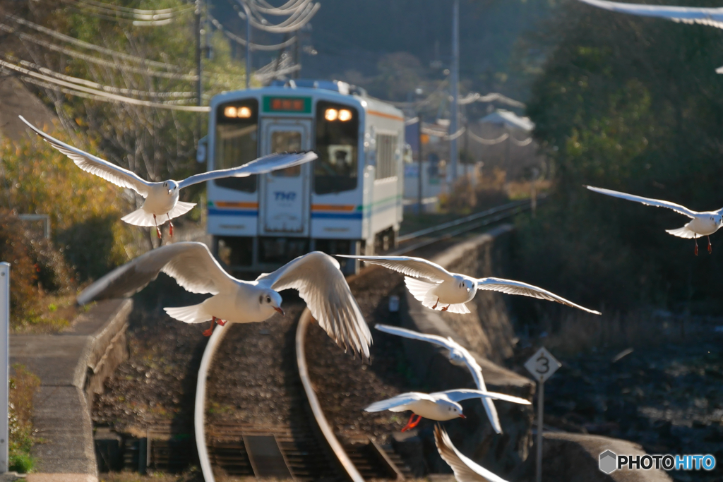 天浜線　佐久米駅　ゆりかもめ