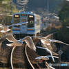 天浜線　佐久米駅　ゆりかもめ